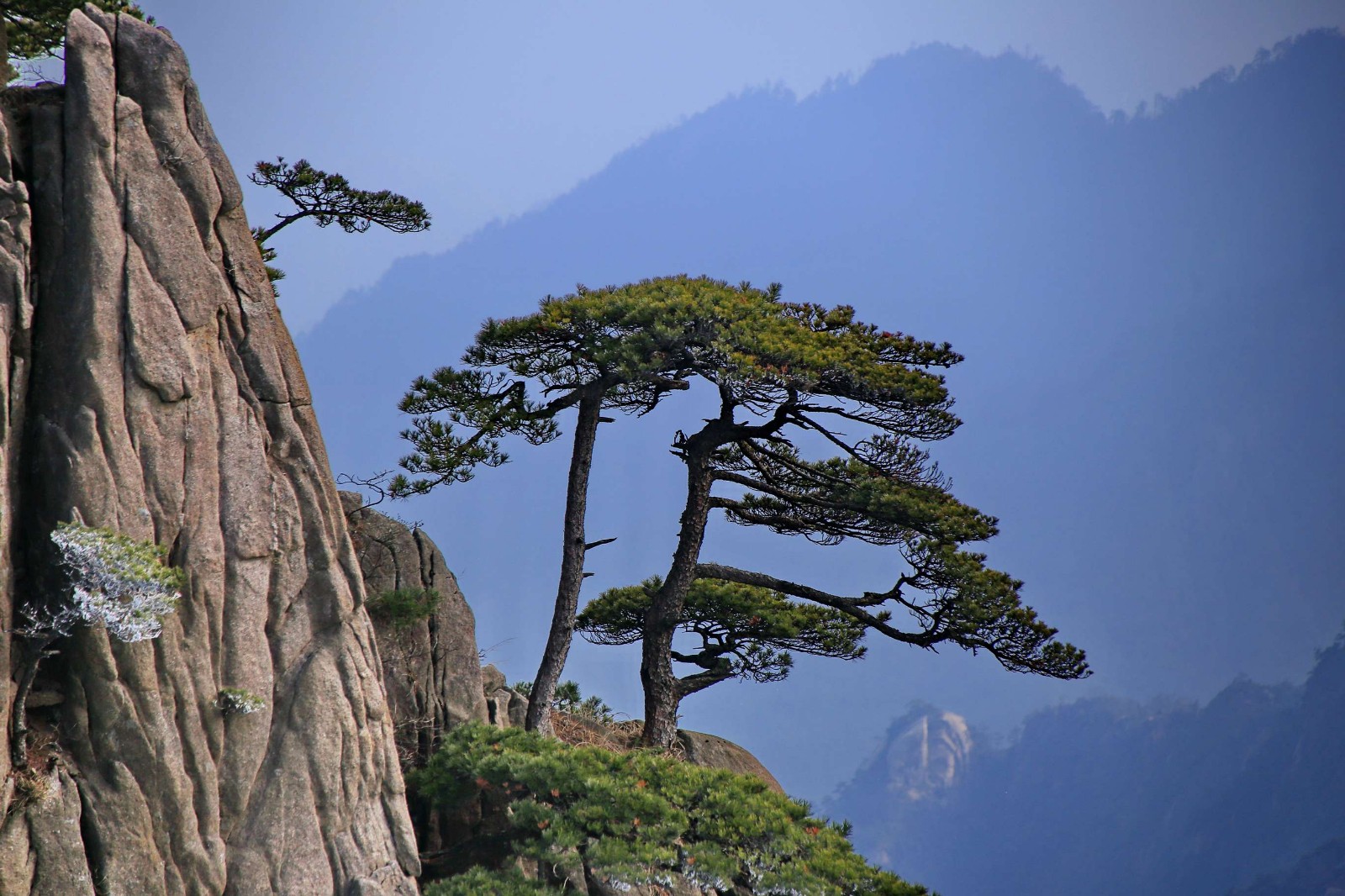 Pine-Valley-Huangshan